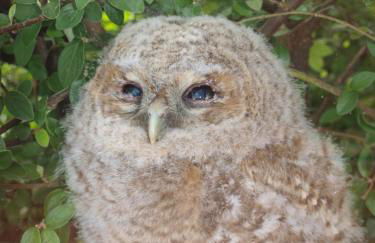 Incheoch Farm Granary - Foto 20