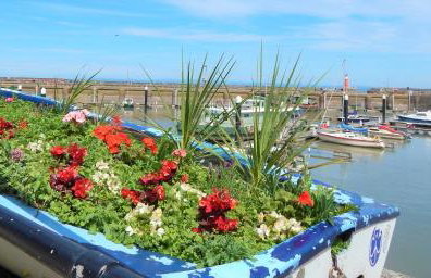 Cuain Cottage Watchet - Photo 17