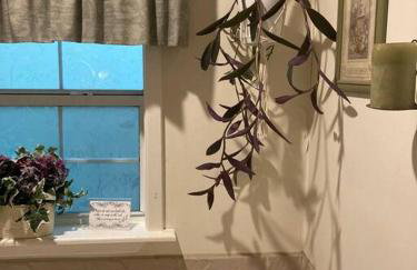 Woodhaven, darling romantic cabin, ATV trails, Mena, AR - Foto 38