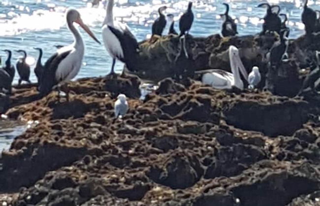 Trading Places - Photo 28