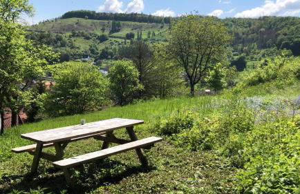 Dalhausen, Am Schönste Aussicht - Foto 12