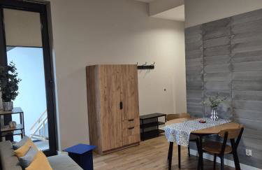 APARTAMENTY PRUCHNICKA - Foto 75