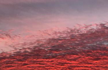 FeWo No.18 - Photo 33