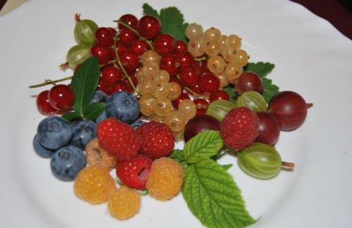 Tenuta Fortelongo - Foto 111