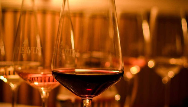 Degustação de vinhos em Bratislava - Foto 4