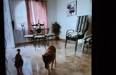 Hogar del Corazon - Foto 31