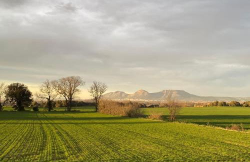 Moderno apartamento en Empordà Golf - Foto 28
