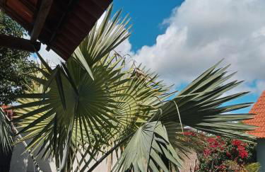 Chales Da Mata - Foto 24