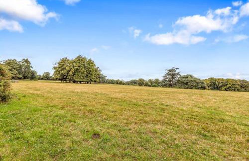 Fieldview Cottage - Foto 7