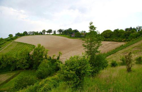 Agriturismo Biologico Villa Rosa - Photo 32