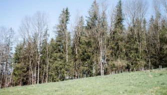 Alima der Hof - Apartment Mühlhans - Foto 4