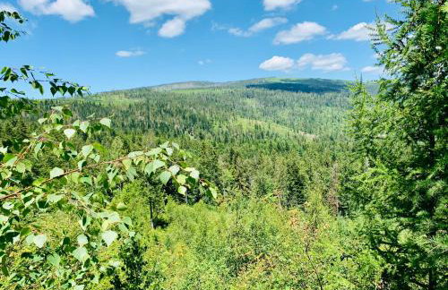 FM Kamesznica - Foto 60