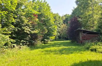 Domek Zielony Dzięcioł - Foto 17