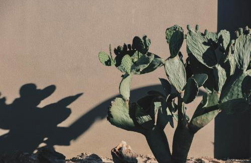 Inspiration House - Foto 12