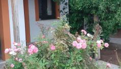 Daphne Studios - Foto 5