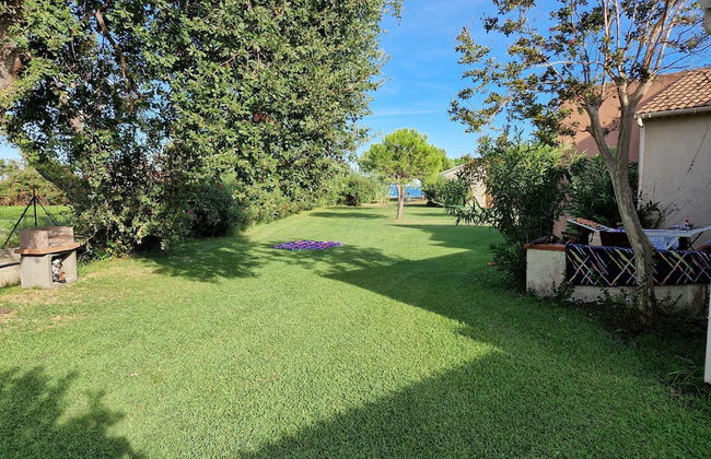 Pinea Mare - Foto 12