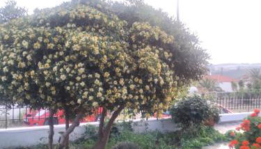 Vasila seaview - Foto 2