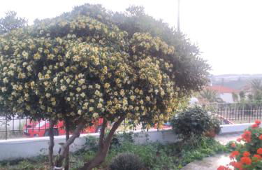 Vasila seaview - Foto 2