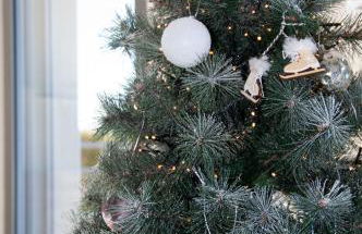 Duplex 6 personnes, vue panoramique sur lac - Foto 19