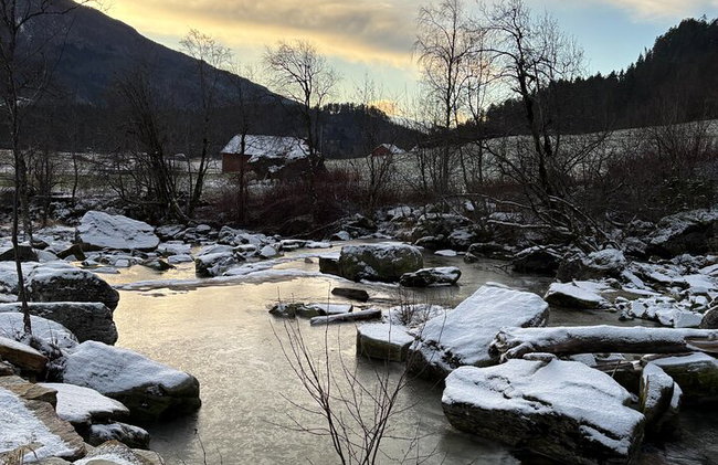 Winter Fjord Tour to Nærøyfjord, Flam and Stegastein from Bergen - Photo 15