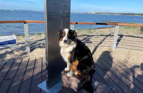 Sonnendeck / 3 Zi.-FeWo mit Meerblick in Toplage - Foto 18