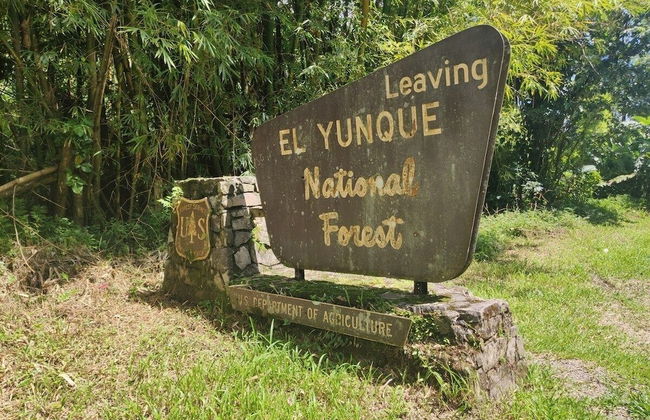 Beachfront Studios - Photo 42