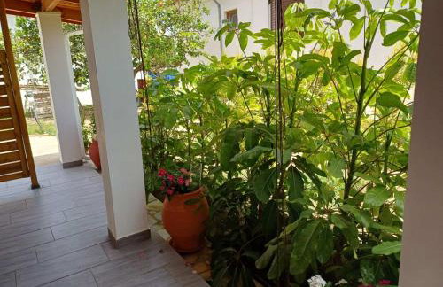 Aggelikis house - Foto 18