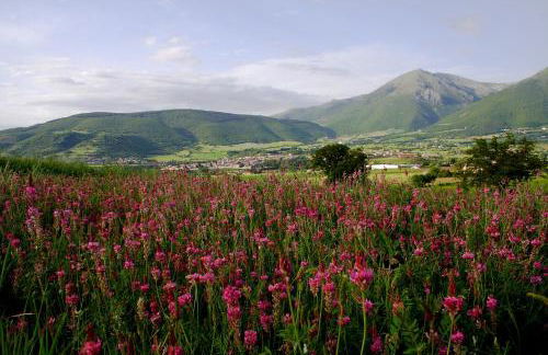 Agriturismo La Cascina di Opaco - Foto 20