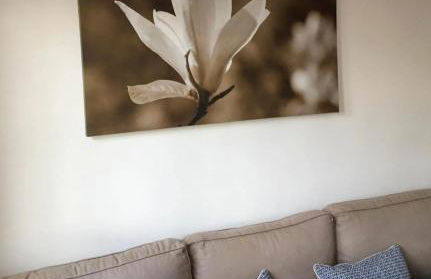 Cielo Azul - Foto 28