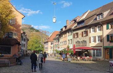 Feldbergblick - Foto 28