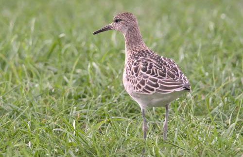 The Workshop- Eco Cottage by the Coastal Path - Photo 53
