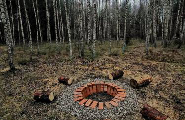 Biały Las Magiczna Stara Chata Puszcza Białowieska - Foto 40
