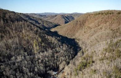 Quaint Cozy Cottage Perfect for a Peaceful Getaway in West Virginia - Foto 7