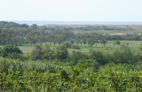 Gîte des Jonquiès, au calme vue sur le canal du midi et la mer - Foto 6