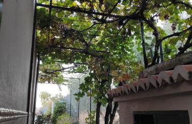 LOS ABUELOS - Foto 39