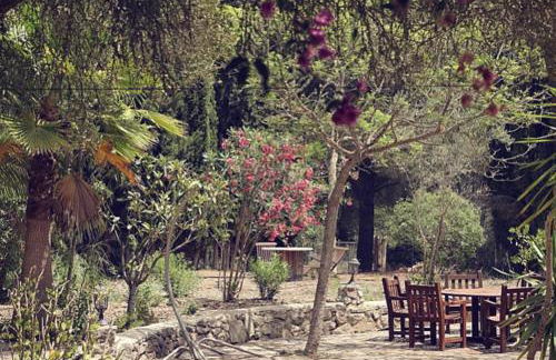 Finca Ses Eres - Foto 23