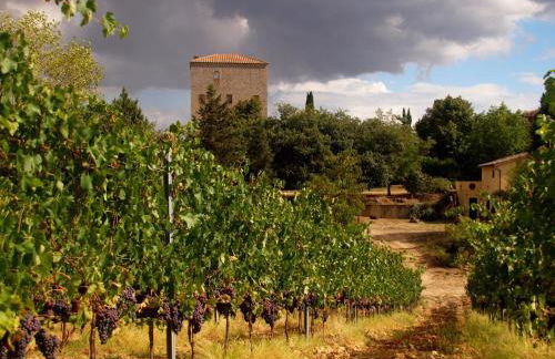 Agriturismo La Roverella - Foto 68