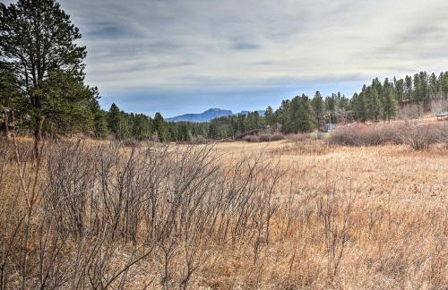 Scenic Hill City Cabin Hiking and ATV Trail Access - Foto 35