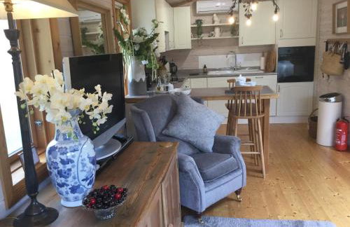 The Lodge - Luxury Lodge with Super King Size Bed, Kitchen & Shower Room - Foto 2