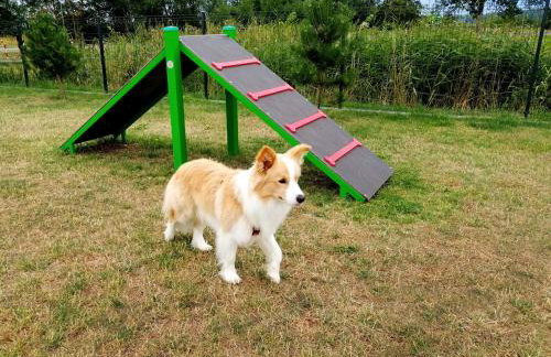 Wakacyjna Wioska SUMMERLAND - Foto 49