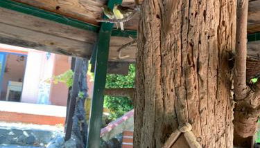 Finca Vitoria - Foto 5, Garden