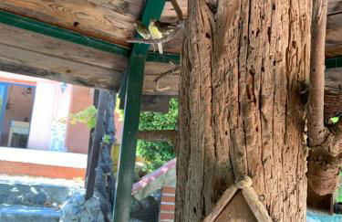 Finca Vitoria - Foto 5