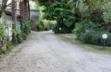 VillaLuigia - Oasi le Palme - Photo 4