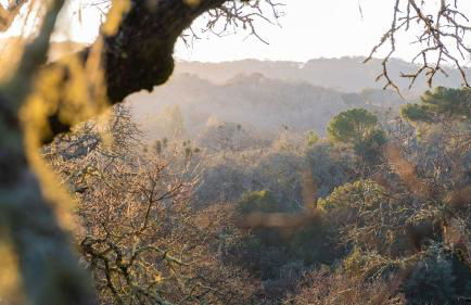 Gable by AvantStay Beautiful 3.5 Acre Oasis w Gorgeous Views Pool Hot Tub - Foto 35