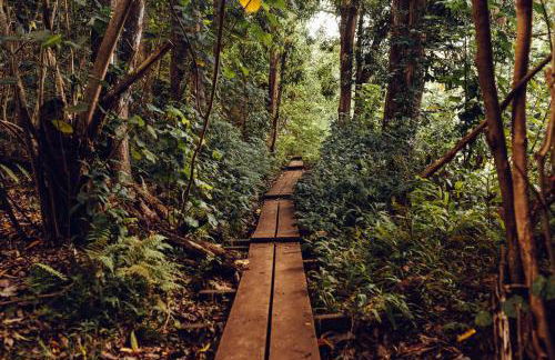 Banyan Harbor Resort - Foto 65