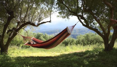 Sophia Country House - Olive Grove Retreat, Crete - Foto 5, Garden, Garden view