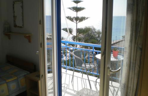 Sunrise Flora - Foto 4