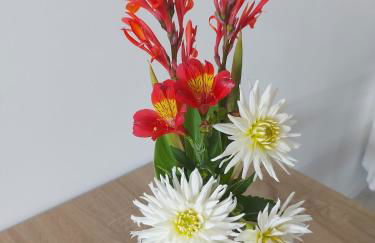 PLAIN PIED, avec mezzanine et espace extérieur 10min Puy du F - Foto 16