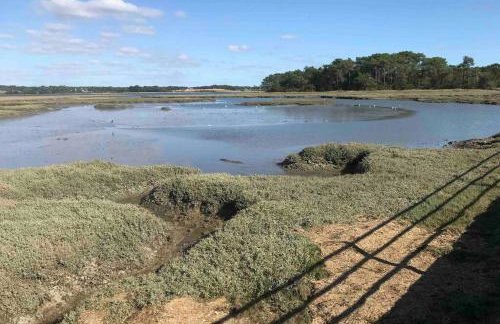 Appartement en entrée de ville avec balneo - Foto 23