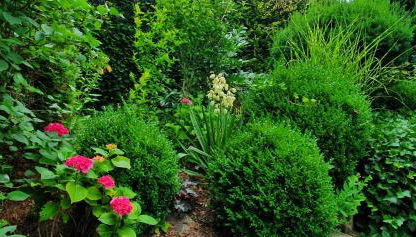 Villa Maja - Foto 3, Garden, Garden view